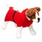 DEGUISEMENT PERE NOEL CHIEN PULL 3 TAILLES