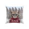 COUSSIN 40 X 40 CM COTON IMPRIME CHAPIN